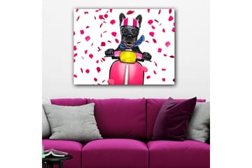 Canvastavla 70x100 cm - Glad fransk bulldogg som kör en rosa scooter med blommor som faller runtomkring - Rosa / Svart / Gul - Inredning - Tavlor & posters - Canvastavla