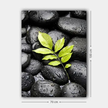 Canvastavla 70x100 cm - Grön kvist som växer fram ur en samling svarta stenar - Svart / Grön - Inredning - Tavlor & posters - Canvastavla