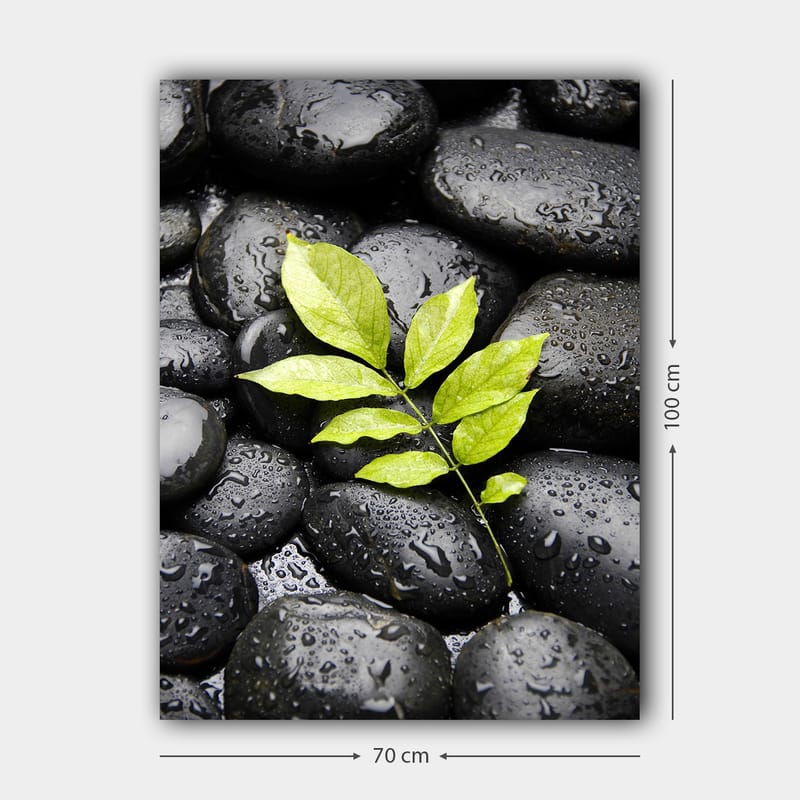 Canvastavla 70x100 cm - Grön kvist som växer fram ur en samling svarta stenar - Svart / Grön - Inredning - Tavlor & posters - Canvastavla