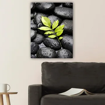 Canvastavla 70x100 cm - Grön kvist som växer fram ur en samling svarta stenar - Svart / Grön - Inredning - Tavlor & posters - Canvastavla
