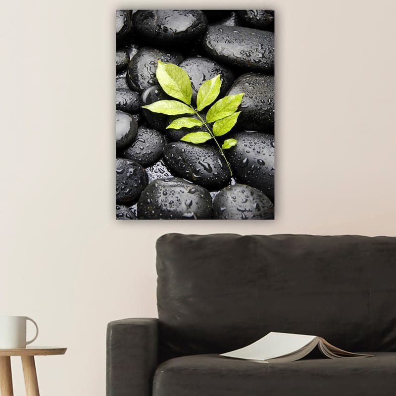 Canvastavla 70x100 cm - Grön kvist som v�äxer fram ur en samling svarta stenar - Svart / Grön - Inredning - Tavlor & posters - Canvastavla