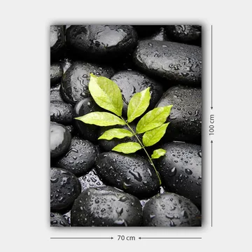 Canvastavla 70x100 cm - Grön kvist som växer fram ur en samling svarta stenar - Svart / Grön - Inredning - Tavlor & posters - Canvastavla