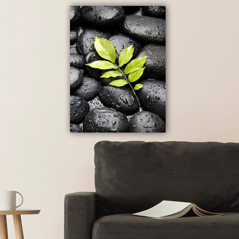 Canvastavla 70x100 cm - Grön kvist som växer fram ur en samling svarta stenar - Svart / Grön - Inredning - Tavlor & posters - Canvastavla