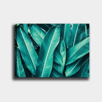 Canvastavla 70x100 cm - Grönskande bladverk i en harmonisk komposition - Turkos / Mörkgrön - Inredning - Tavlor & posters - Canvastavla