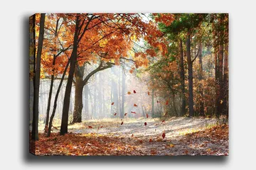 Canvastavla 70x100 cm - Höstskogslandskap med fallande löv i varma färger - Orange / Brun / Grön - Inredning - Tavlor & posters - Canvastavla