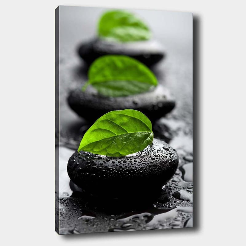 Canvastavla 70x100 cm - Harmonisk komposition av svarta stenar med gröna blad som symboliserar lugn och balans - Svart / Grön - Inredning - Tavlor & posters - Canvastavla