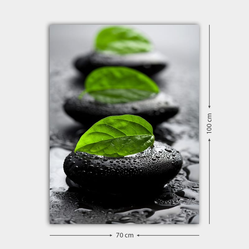 Canvastavla 70x100 cm - Harmonisk komposition av svarta stenar med gröna blad som symboliserar lugn och balans - Svart / Grön - Inredning - Tavlor & posters - Canvastavla