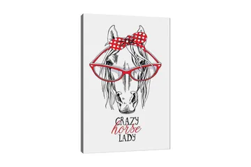 Canvastavla 70x100 cm - Humoristisk illustration av ett hähuvud med stora glasögon och en röd prickig rosett - Röd / Svart / Vit - Inredning - Tavlor & posters - Canvastavla