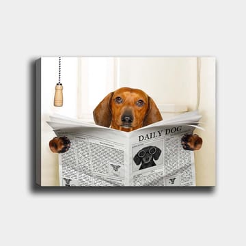 Canvastavla 70x100 cm - Hund som läser tidningen Daily Dog med ett nyfiket uttryck - Brun / Svart - Inredning - Tavlor & posters - Canvastavla