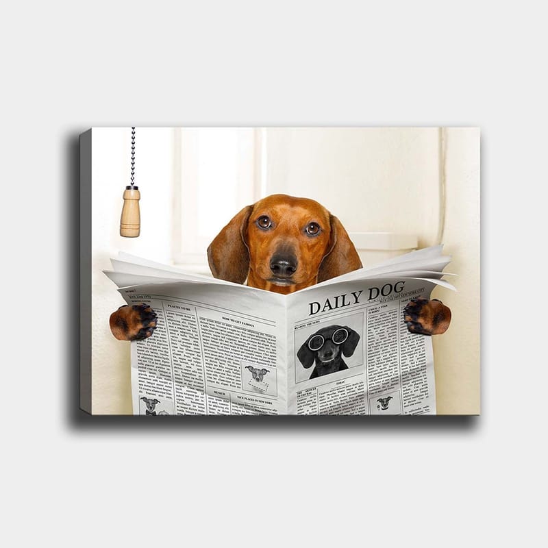 Canvastavla 70x100 cm - Hund som läser tidningen Daily Dog med ett nyfiket uttryck, Brun / Svart