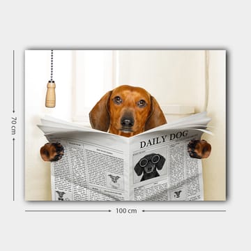 Canvastavla 70x100 cm - Hund som läser tidningen Daily Dog med ett nyfiket uttryck - Brun / Svart - Inredning - Tavlor & posters - Canvastavla
