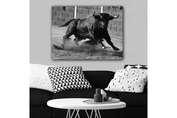 Canvastavla 70x100 cm - Kraftfull tjur i rörelse, fångad i ett ögonblick av intensitet och styrka - Svart / Grått - Inredning - Tavlor & posters - Canvastavla