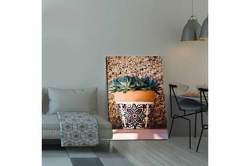 Canvastavla 70x100 cm - Kruka med succulenter i en dekorativ design - Grön / Terrakotta / Svart - Inredning - Tavlor & posters - Canvastavla