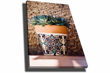 Canvastavla 70x100 cm - Kruka med succulenter i en dekorativ design - Grön / Terrakotta / Svart - Inredning - Tavlor & posters - Canvastavla