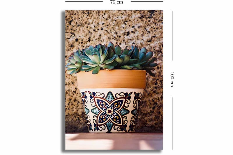 Canvastavla 70x100 cm - Kruka med succulenter i en dekorativ design - Grön / Terrakotta / Svart - Inredning - Tavlor & posters - Canvastavla