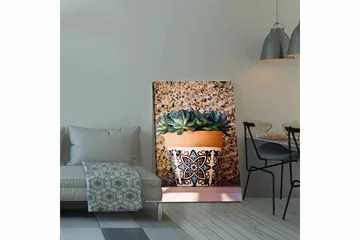 Canvastavla 70x100 cm - Kruka med succulenter i en dekorativ design - Grön / Terrakotta / Svart - Inredning - Tavlor & posters - Canvastavla