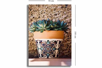 Canvastavla 70x100 cm - Kruka med succulenter i en dekorativ design - Grön / Terrakotta / Svart - Inredning - Tavlor & posters - Canvastavla