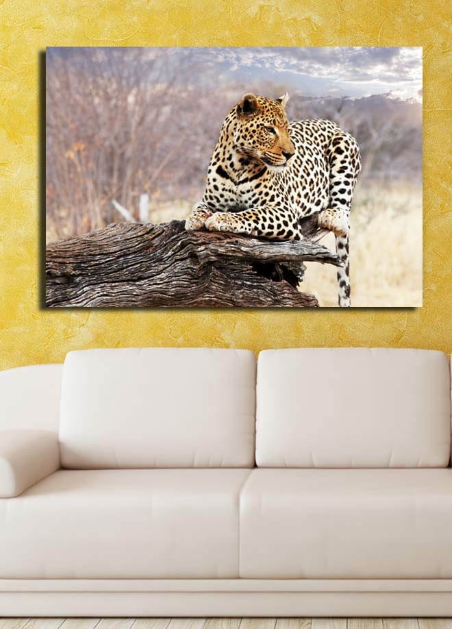 Canvastavla 70x100 cm - Leopard som vilar på en trästam i en naturlig miljö - Guld / Svart / Brun - Inredning - Tavlor & posters - Canvastavla