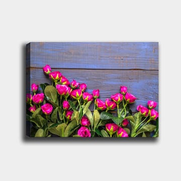 Canvastavla 70x100 cm - Livfull samling av rosa rosor mot en blå träbakgrund - Rosa / Grön / Blå - Inredning - Tavlor & posters - Canvastavla
