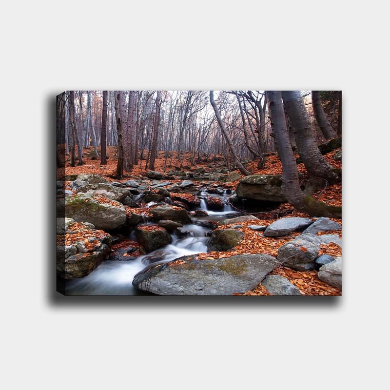 Canvastavla 70x100 cm - Lugn skogsscen med en porlande bäck omgiven av höstfärgade löv och stenar, Grå / Orange / Brun