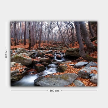 Canvastavla 70x100 cm - Lugn skogsscen med en porlande bäck omgiven av höstfärgade löv och stenar - Grå / Orange / Brun - Inredning - Tavlor & posters - Canvastavla