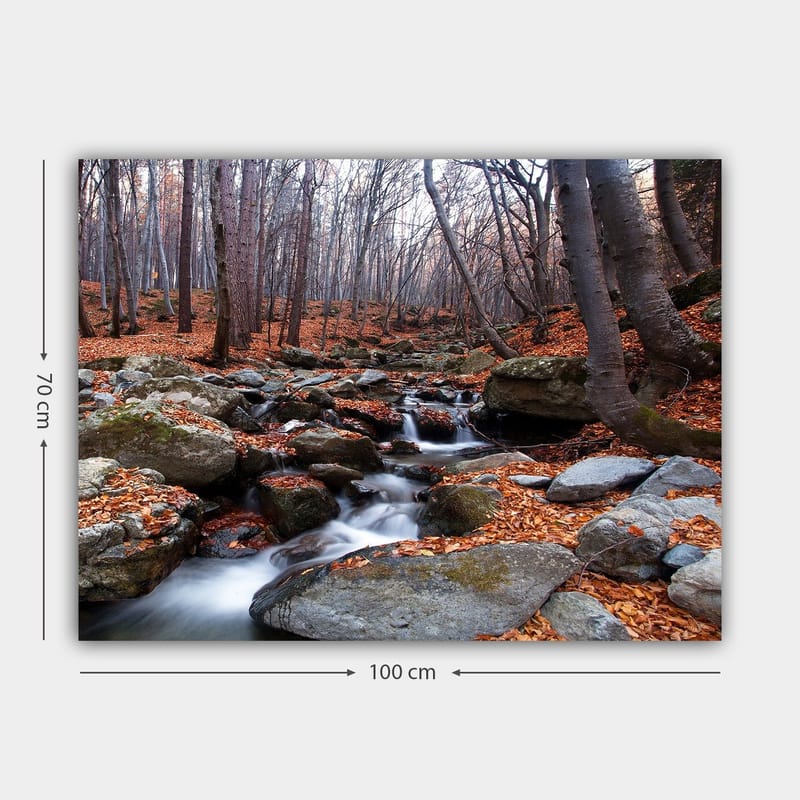Canvastavla 70x100 cm - Lugn skogsscen med en porlande bäck omgiven av höstfärgade löv och stenar - Grå / Orange / Brun - Inredning - Tavlor & posters - Canvastavla