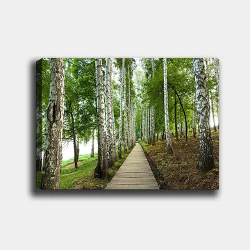 Canvastavla 70x100 cm - Lugn skogsväg omgiven av björkar och grönskande vegetation - Grön / Vit / Brun - Inredning - Tavlor & posters - Canvastavla