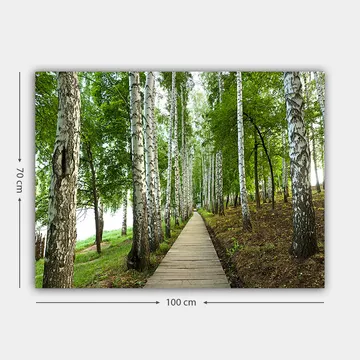 Canvastavla 70x100 cm - Lugn skogsväg omgiven av björkar och grönskande vegetation - Grön / Vit / Brun - Inredning - Tavlor & posters - Canvastavla