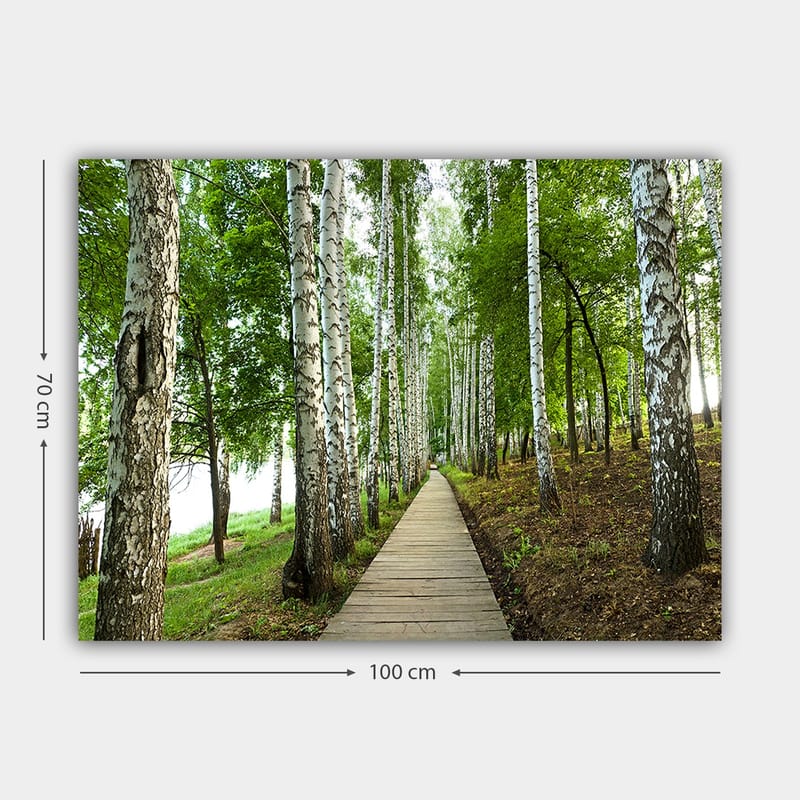 Canvastavla 70x100 cm - Lugn skogsväg omgiven av björkar och grönskande vegetation - Grön / Vit / Brun - Inredning - Tavlor & posters - Canvastavla