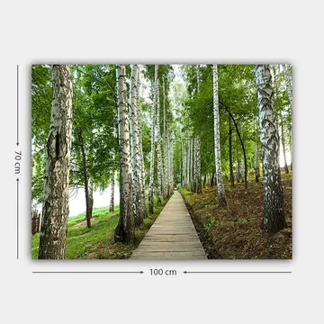 Canvastavla 70x100 cm - Lugn skogsväg omgiven av björkar och grönskande vegetation - Grön / Vit / Brun - Inredning - Tavlor & posters - Canvastavla