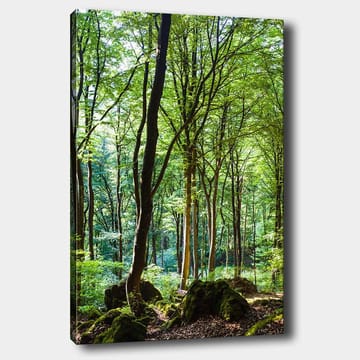 Canvastavla 70x100 cm - Lummig skog med höga träd och grönskande vegetation - Grön / Brun - Inredning - Tavlor & posters - Canvastavla
