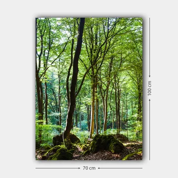Canvastavla 70x100 cm - Lummig skog med höga träd och grönskande vegetation - Grön / Brun - Inredning - Tavlor & posters - Canvastavla