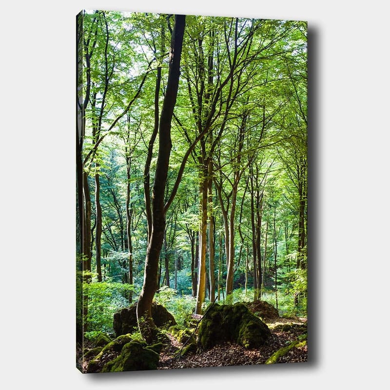 Canvastavla 70x100 cm - Lummig skog med höga träd och grönskande vegetation - Grön / Brun - Inredning - Tavlor & posters - Canvastavla
