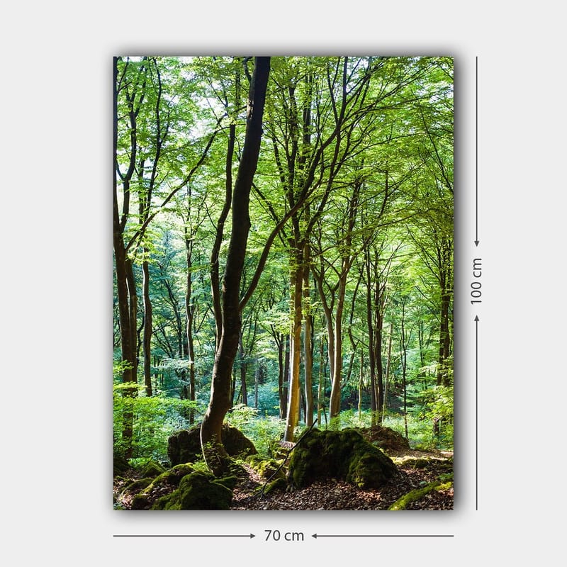 Canvastavla 70x100 cm - Lummig skog med höga träd och grönskande vegetation - Grön / Brun - Inredning - Tavlor & posters - Canvastavla