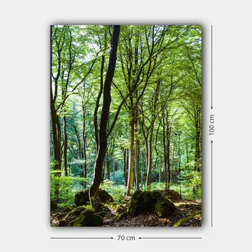 Canvastavla 70x100 cm - Lummig skog med höga träd och grönskande vegetation - Grön / Brun - Inredning - Tavlor & posters - Canvastavla