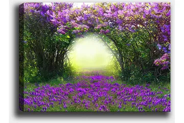 Canvastavla 70x100 cm - Magisk trädgård med lila blommor som leder in i en ljus tunnel av grönska - Lila / Grön / Gul - Inredning - Tavlor & posters - Canvastavla