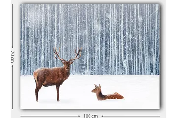 Canvastavla 70x100 cm - Majestätisk älg och en rådjur i en snöig skogsmiljö - Brun / Vit / Grå - Inredning - Tavlor & posters - Canvastavla