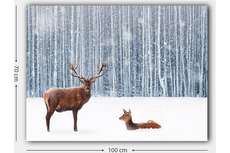 Canvastavla 70x100 cm - Majestätisk älg och en rådjur i en snöig skogsmiljö - Brun / Vit / Grå - Inredning - Tavlor & posters - Canvastavla