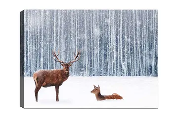 Canvastavla 70x100 cm - Majestätisk älg och en rådjur i en snöig skogsmiljö - Brun / Vit / Grå - Inredning - Tavlor & posters - Canvastavla