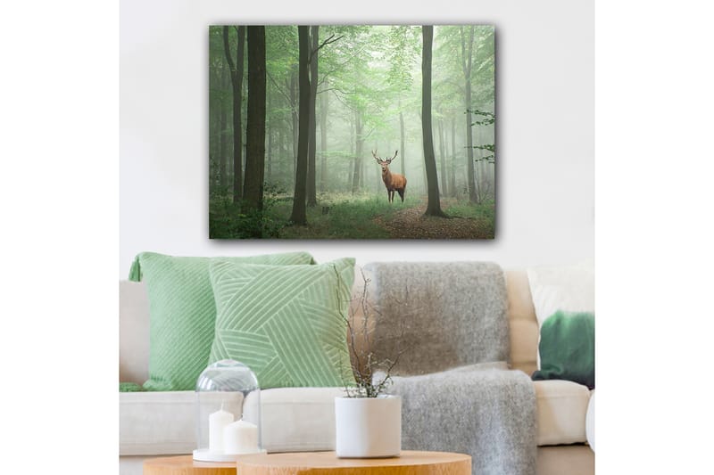 Canvastavla 70x100 cm - Majestätisk älg står stolt i en dimmig skog omgiven av gröna träd - Grön / Brun / Grå - Inredning - Tavlor & posters - Canvastavla
