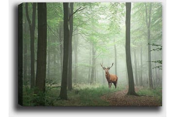 Canvastavla 70x100 cm - Majestätisk älg står stolt i en dimmig skog omgiven av gröna träd - Grön / Brun / Grå - Inredning - Tavlor & posters - Canvastavla