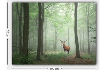Canvastavla 70x100 cm - Majestätisk älg står stolt i en dimmig skog omgiven av gröna träd - Grön / Brun / Grå - Inredning - Tavlor & posters - Canvastavla