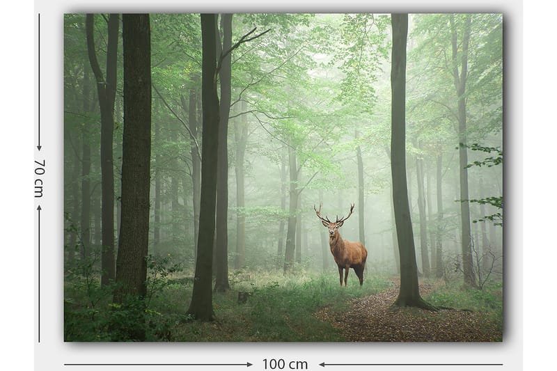 Canvastavla 70x100 cm - Majestätisk älg står stolt i en dimmig skog omgiven av gröna träd - Grön / Brun / Grå - Inredning - Tavlor & posters - Canvastavla