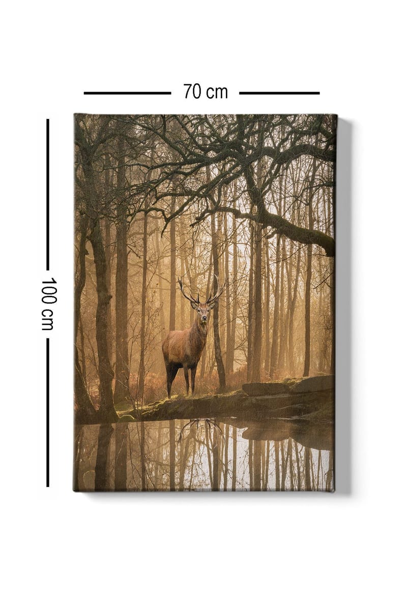 Canvastavla 70x100 cm - Majestätisk älg står vid en spegelblanka sjö omgiven av dimmiga skogar - Brun / Guld / Grön - Inredning - Tavlor & posters - Canvastavla