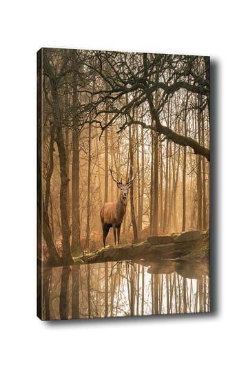 Canvastavla 70x100 cm - Majestätisk älg står vid en spegelblanka sjö omgiven av dimmiga skogar - Brun / Guld / Grön - Inredning - Tavlor & posters - Canvastavla