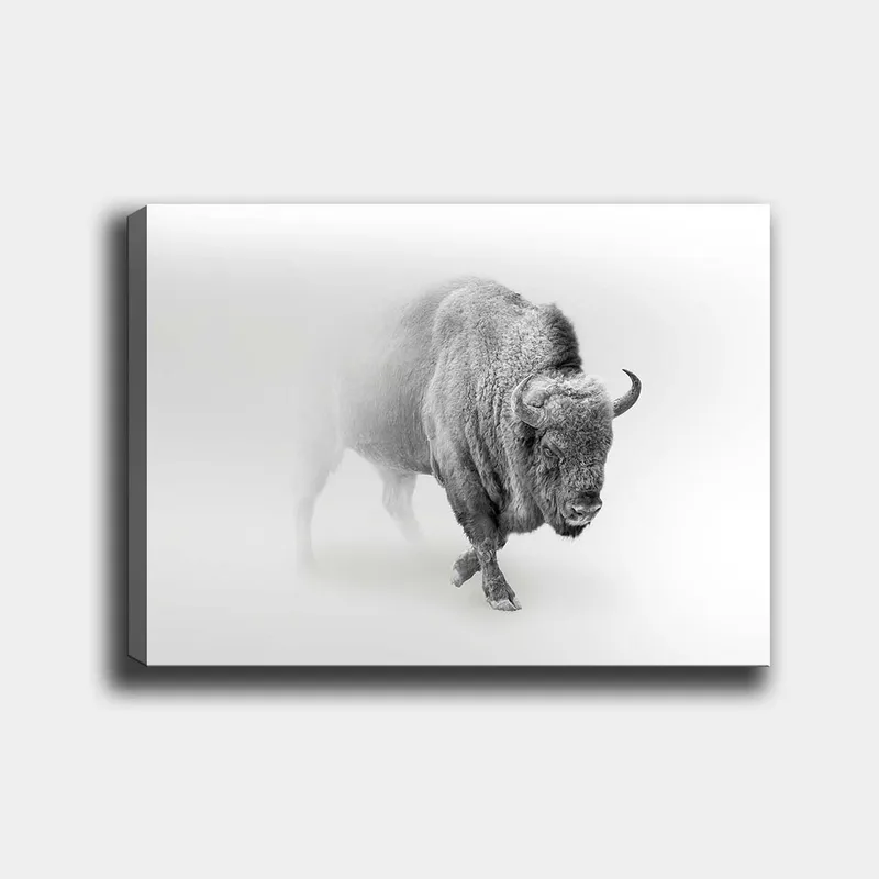 Canvastavla 70x100 cm - Majestätisk bison som går genom dimma, Grå / Vit