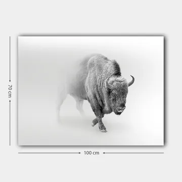 Canvastavla 70x100 cm - Majestätisk bison som går genom dimma - Grå / Vit - Inredning - Tavlor & posters - Canvastavla