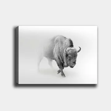 Canvastavla 70x100 cm - Majestätisk bison som går genom dimma - Grå / Vit - Inredning - Tavlor & posters - Canvastavla