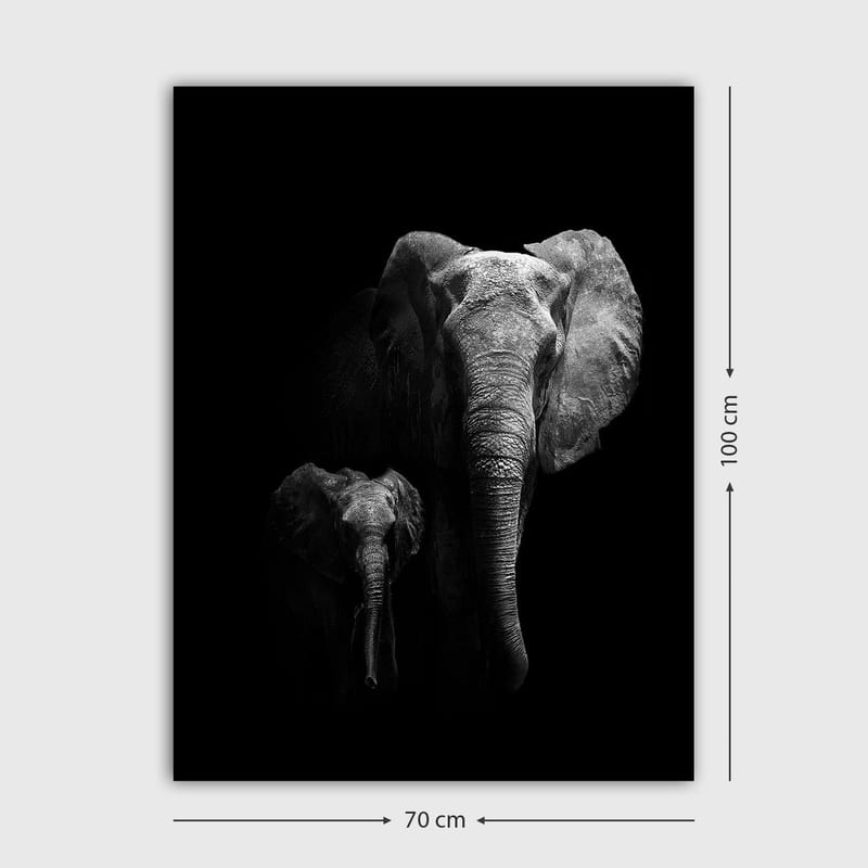 Canvastavla 70x100 cm - Majestätisk elefant och en kalv som framhäver deras relation i en dramatisk svartvit komposition - Svart / Grå - Inredning - Tavlor & posters - Canvastavla