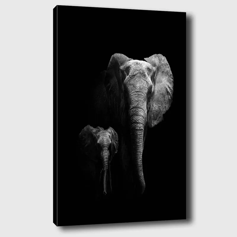 Canvastavla 70x100 cm - Majestätisk elefant och en kalv som framhäver deras relation i en dramatisk svartvit komposition, Svart / Grå